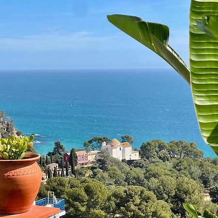 Seahomes Vacations, La Casa Blue Mediterranean Lifestyle ブラナス エクステリア 写真