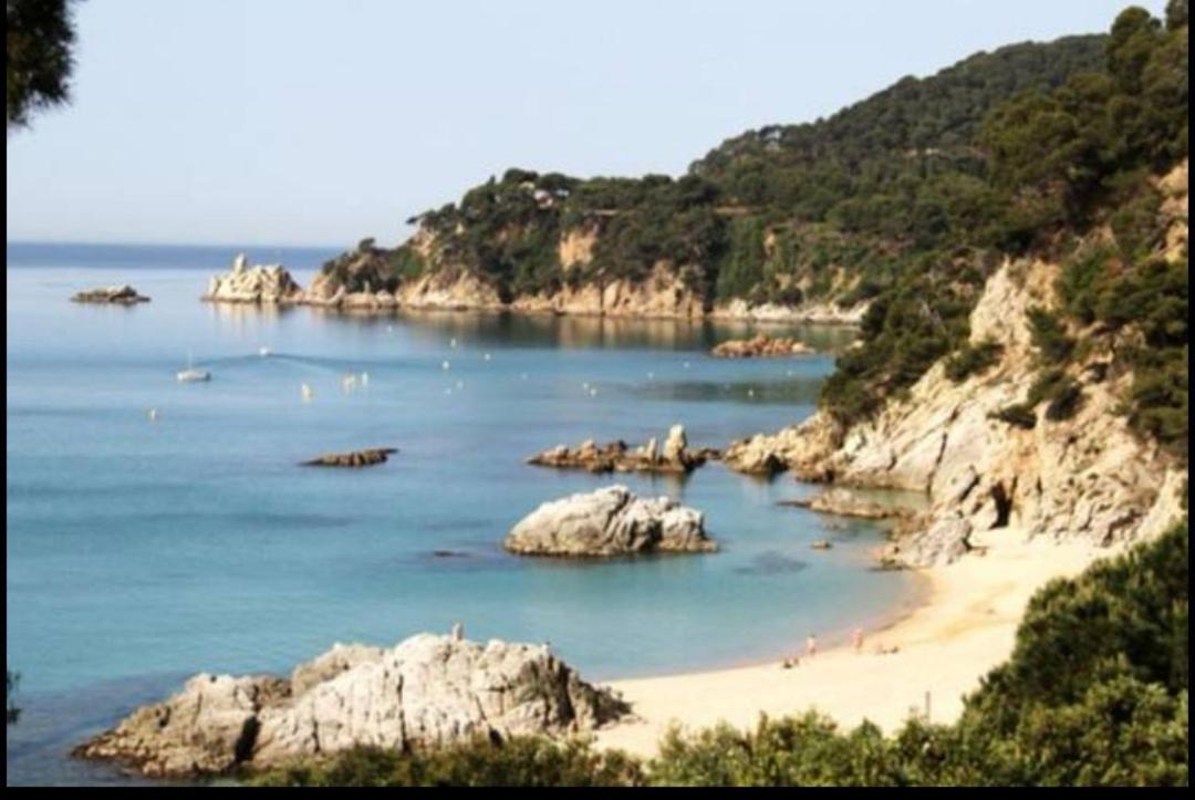 Seahomes Vacations, La Casa Blue Mediterranean Lifestyle ブラナス エクステリア 写真