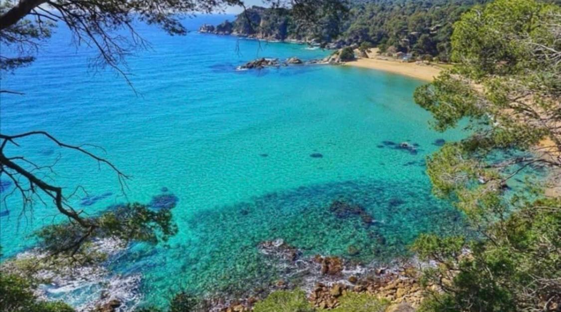 Seahomes Vacations, La Casa Blue Mediterranean Lifestyle ブラナス エクステリア 写真