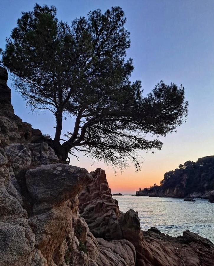 Seahomes Vacations, La Casa Blue Mediterranean Lifestyle ブラナス エクステリア 写真