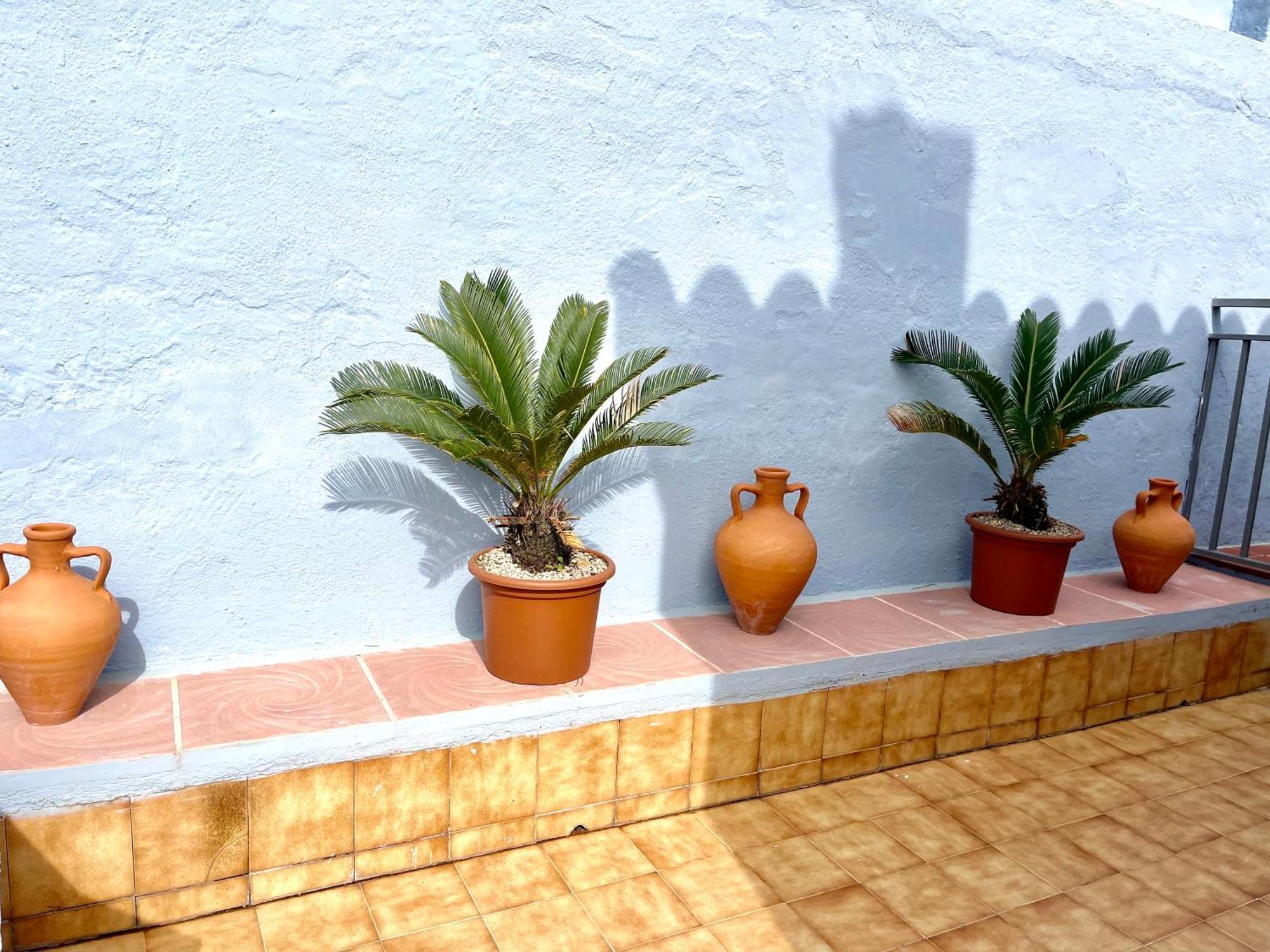 Seahomes Vacations, La Casa Blue Mediterranean Lifestyle ブラナス エクステリア 写真